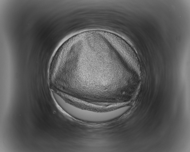 X0000086261535200704191853