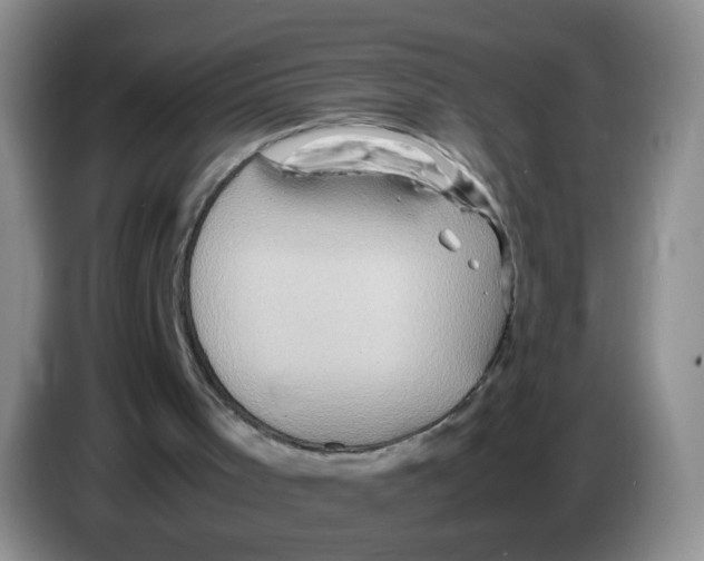 X0000086260001200704262005