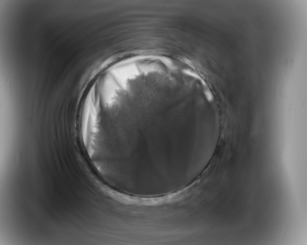 X0000086260002200704262005