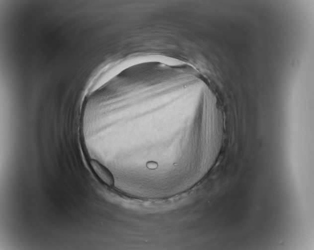 X0000086260003200704262005