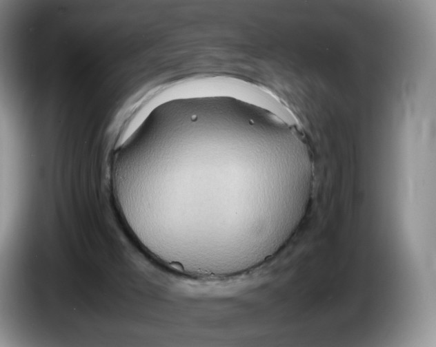 X0000086260005200704262005