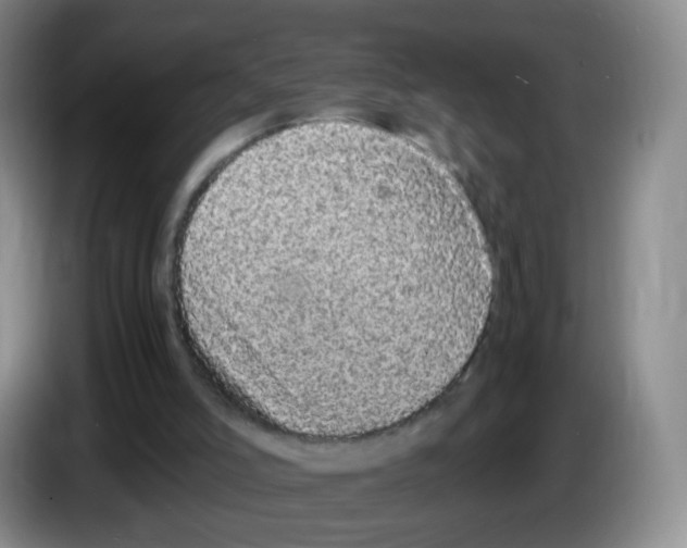 X0000086260006200704262005