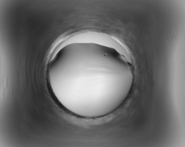 X0000086260007200704262005