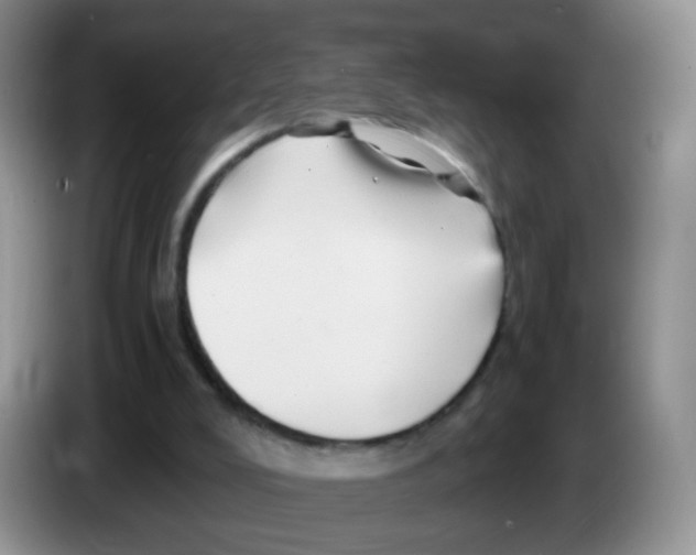X0000086260008200704262005