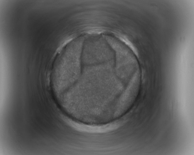 X0000086260010200704262005