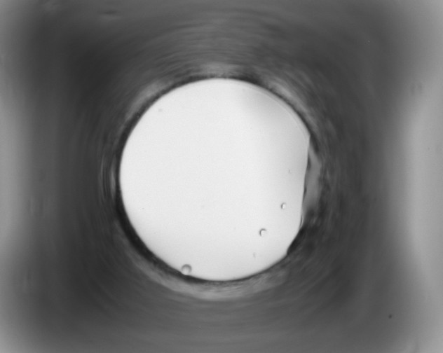 X0000086260011200704262005