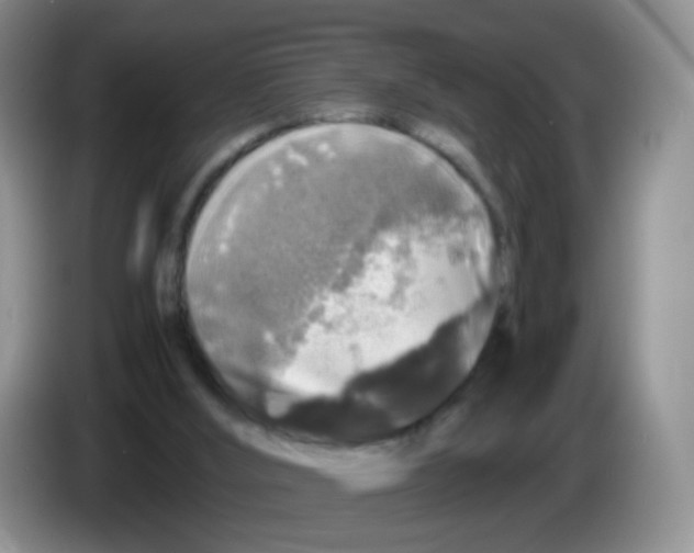 X0000086260012200704262005