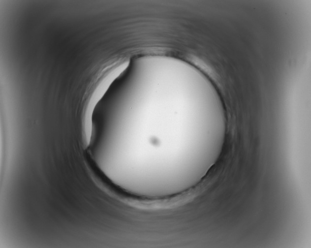 X0000086260013200704262005