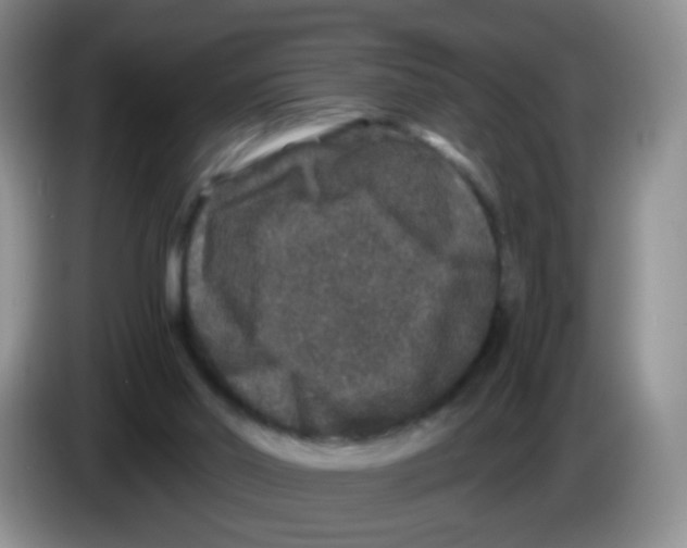 X0000086260014200704262005