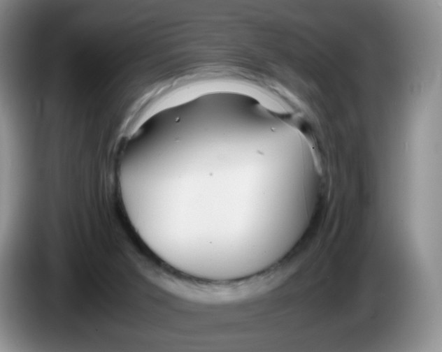X0000086260015200704262005
