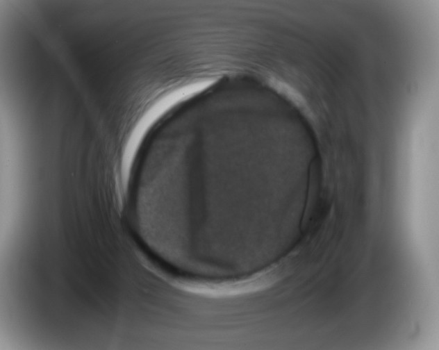 X0000086260017200704262005