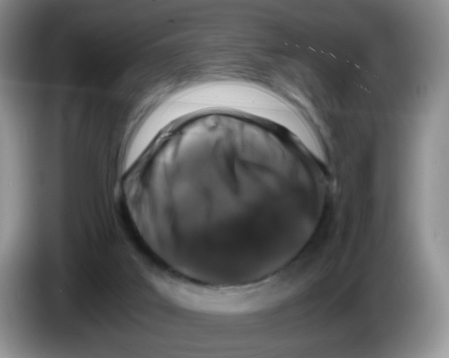 X0000086260019200704262005