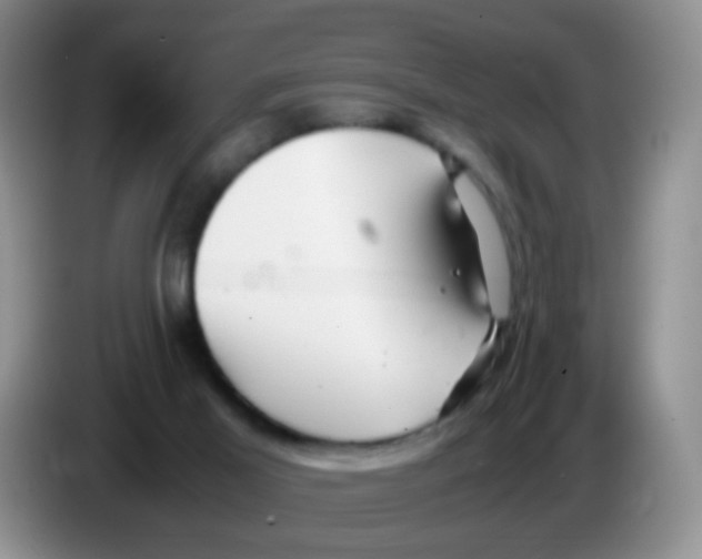 X0000086260021200704262005
