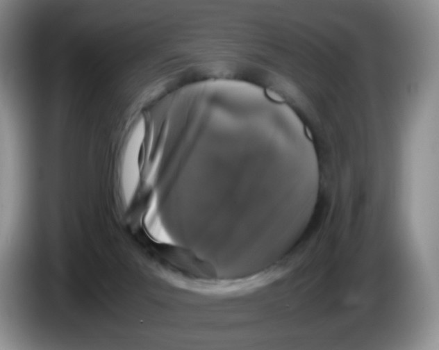 X0000086260023200704262005