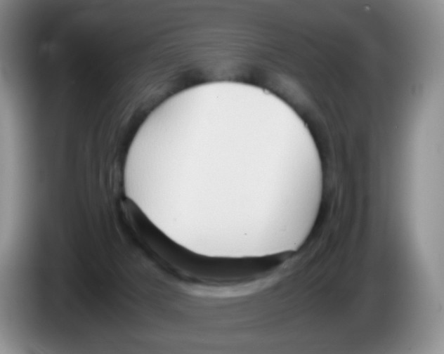 X0000086260025200704262005