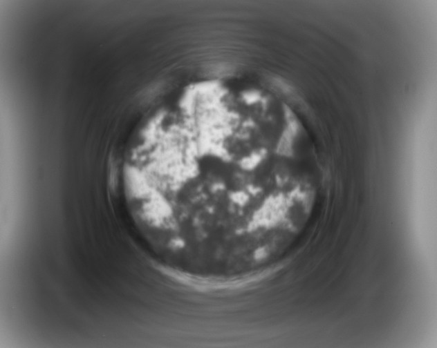 X0000086260026200704262005