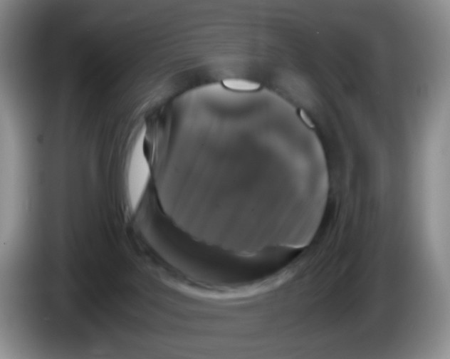 X0000086260027200704262005