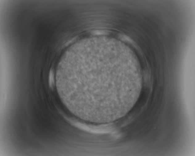 X0000086260028200704262005