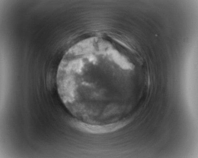 X0000086260030200704262005
