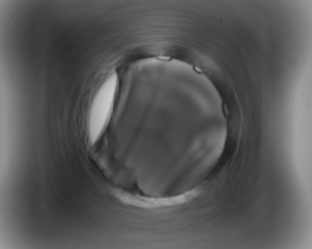 X0000086260031200704262005