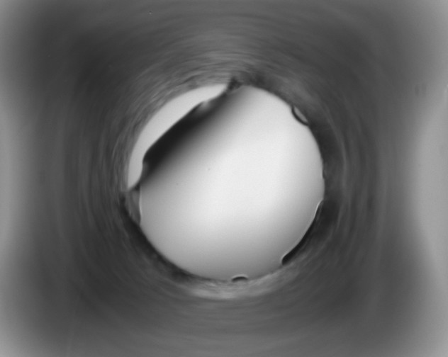 X0000086260033200704262005