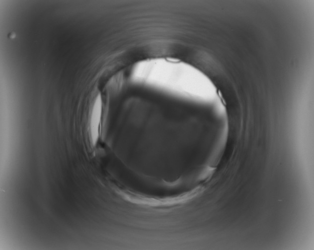 X0000086260035200704262004