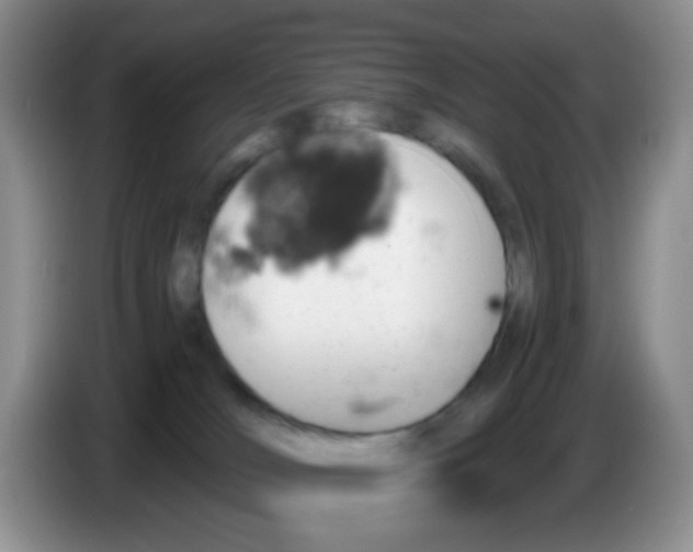 X0000086260036200704262004