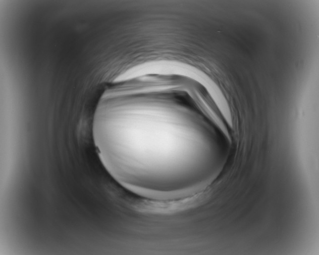 X0000086260037200704262004