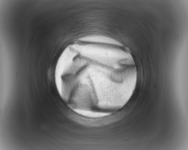 X0000086260038200704262004