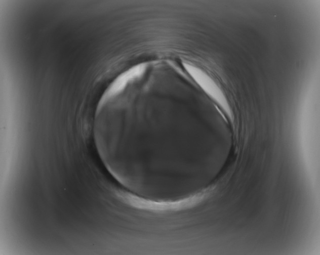 X0000086260039200704262004