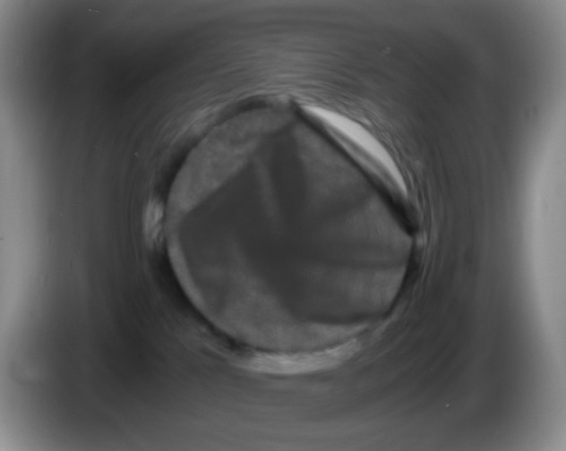 X0000086260041200704262004