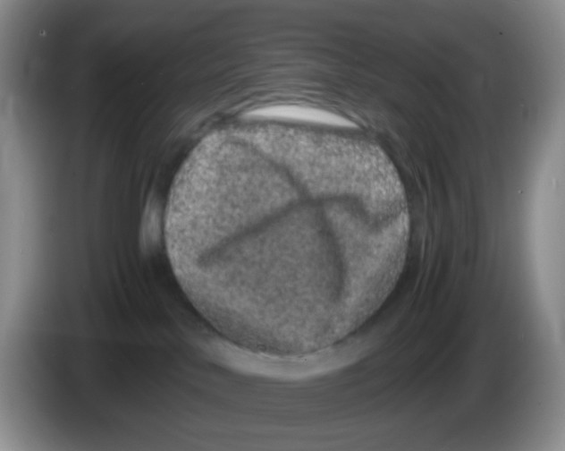 X0000086260042200704262004