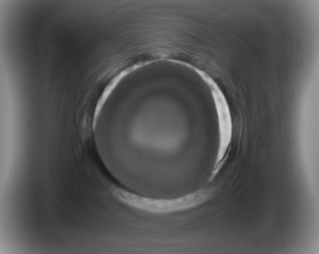X0000086260043200704262004