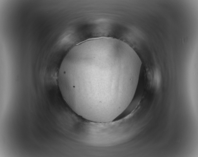 X0000086260045200704262004