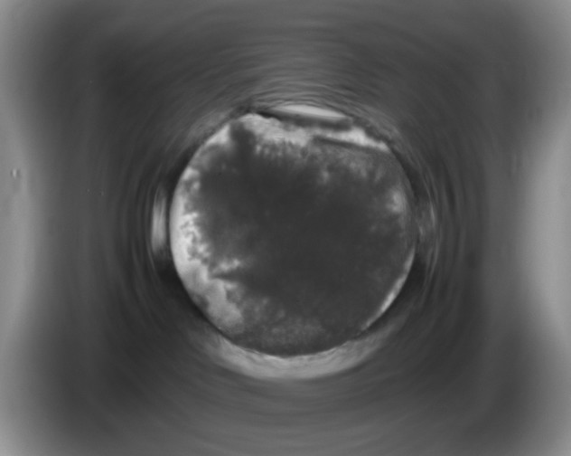 X0000086260046200704262004