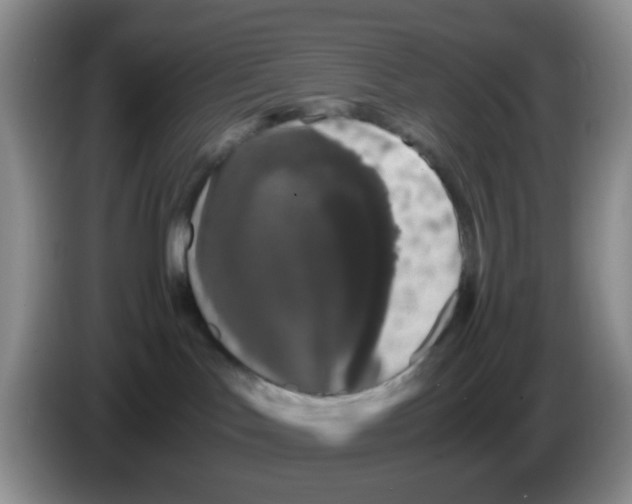 X0000086260047200704262004
