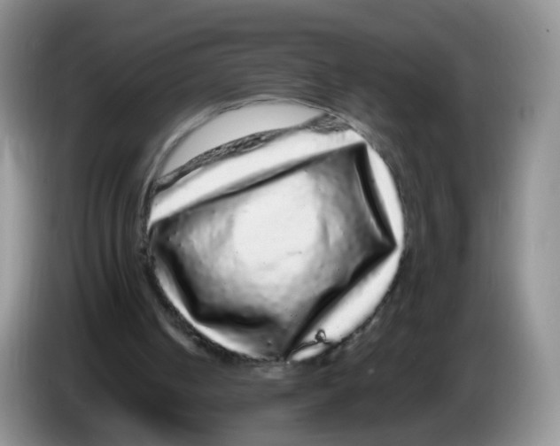 X0000086260050200704262004