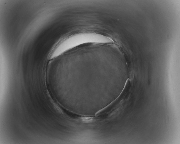 X0000086260052200704262004
