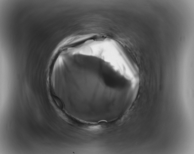 X0000086260054200704262004