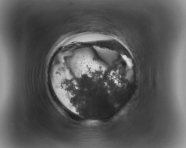 X0000086260055200704262004