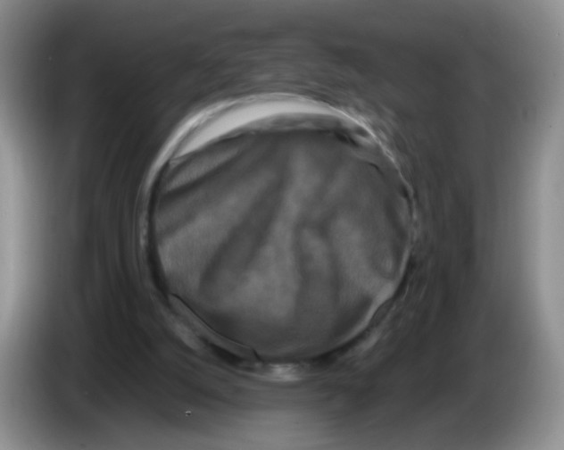 X0000086260056200704262004