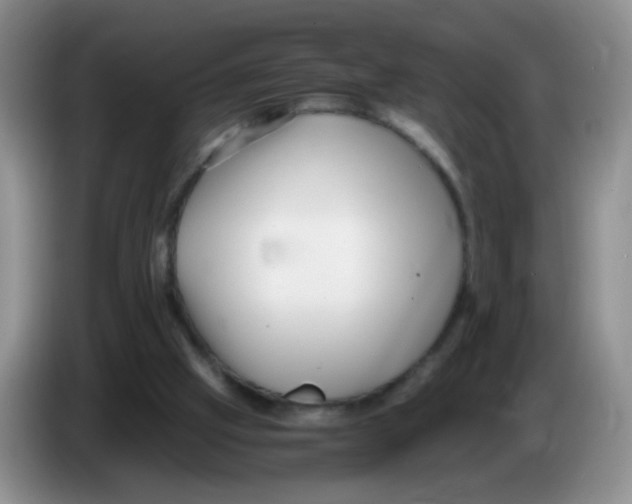 X0000086260057200704262004