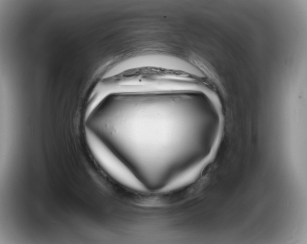 X0000086260058200704262004