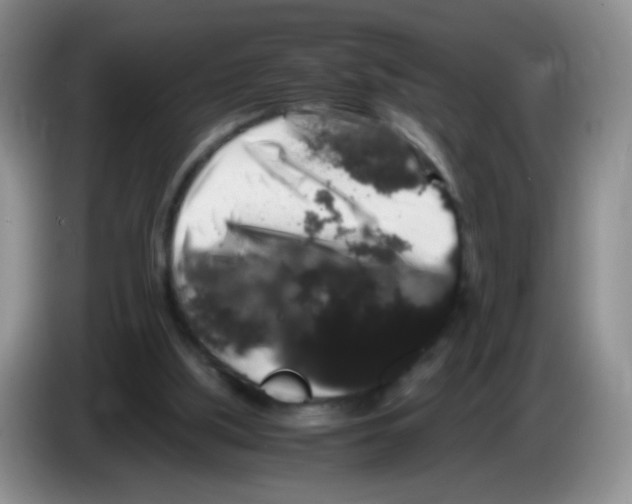 X0000086260059200704262004