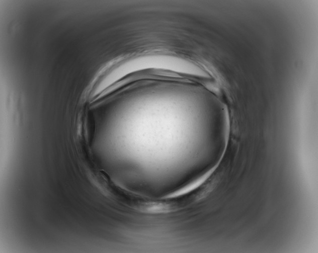 X0000086260060200704262004