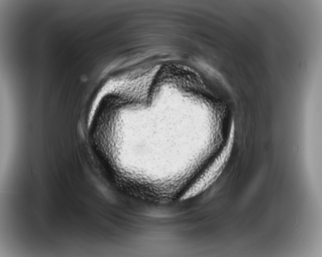X0000086260062200704262004