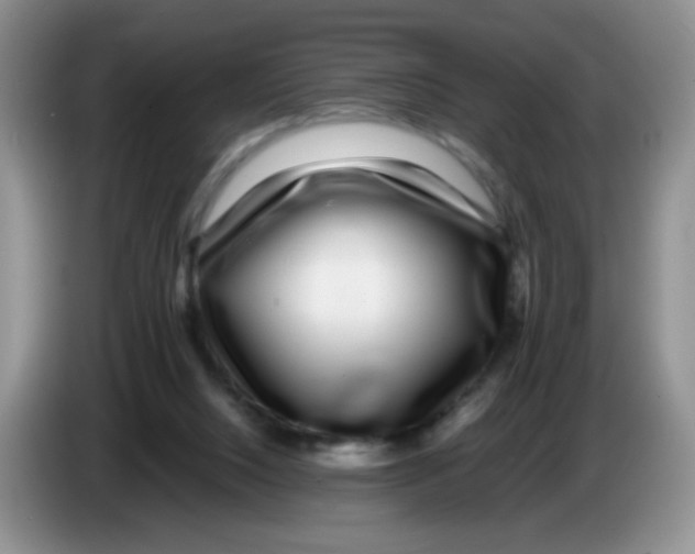X0000086260064200704262004