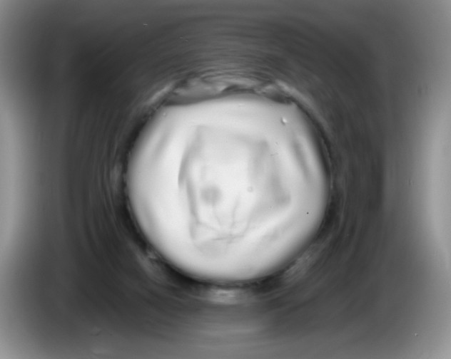 X0000086260066200704262004