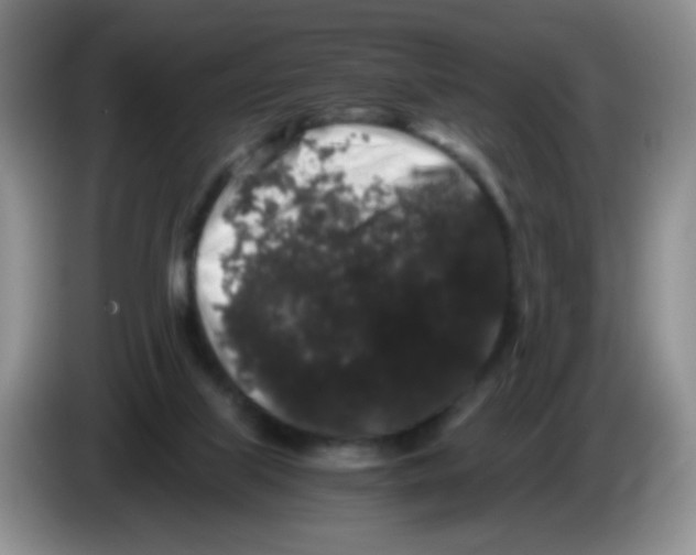 X0000086260067200704262004