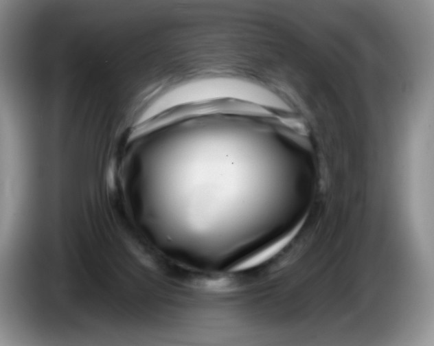 X0000086260068200704262004